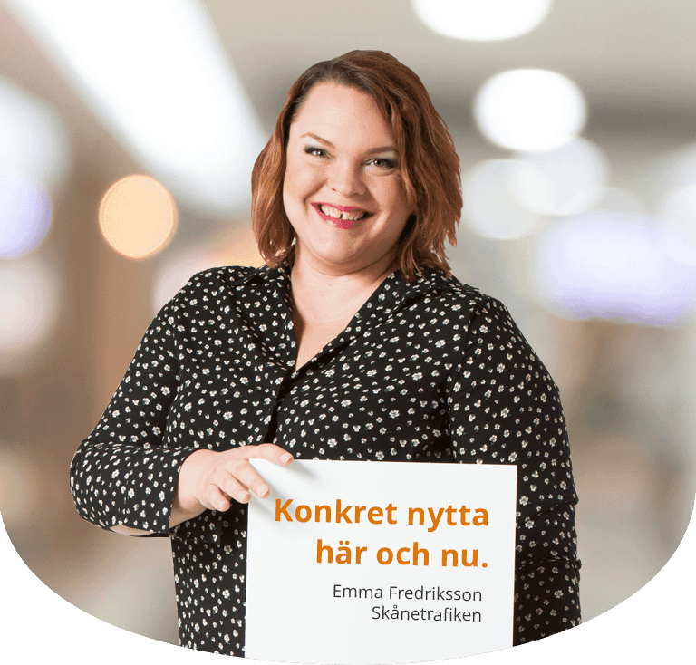 Projektledning i praktiken