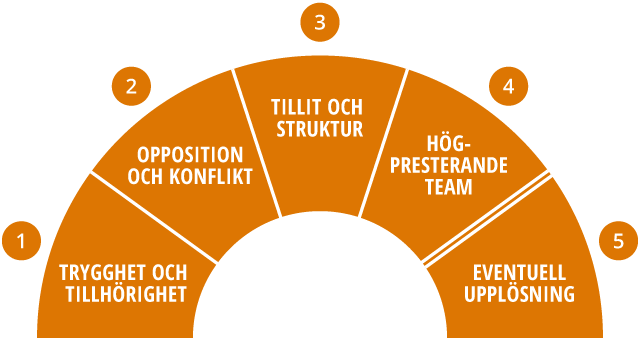 Den vetenskapliga modellen för grupputveckling.